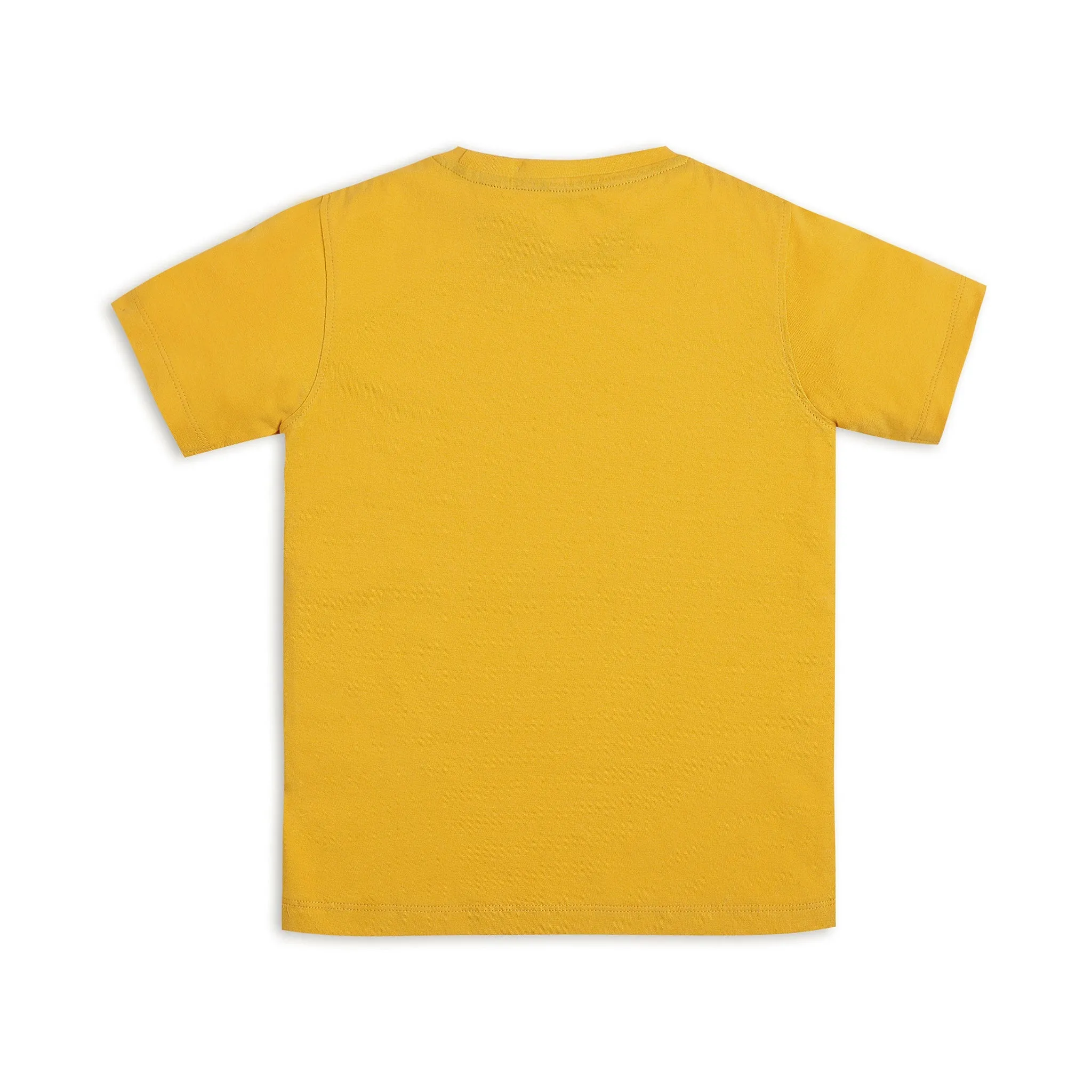 Boy's Regular Fit Graphic T-Shirt