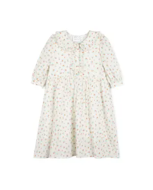 Floral Printed Collared Seam Waisted Dress